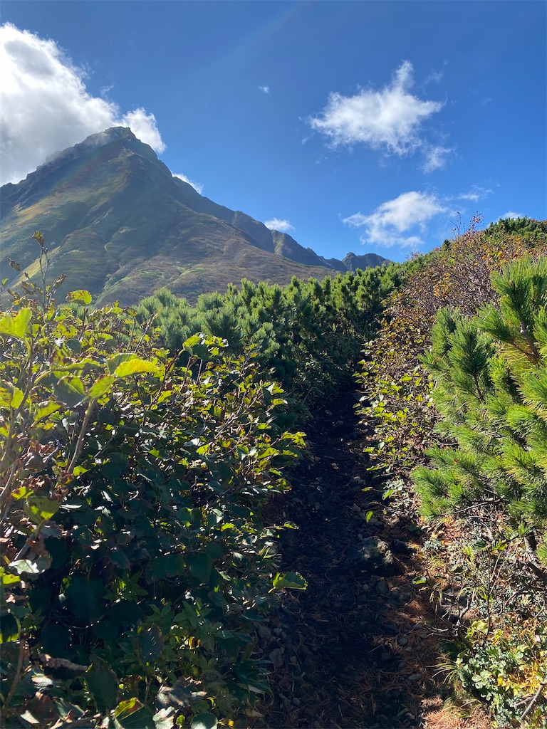 f:id:ayako-sundries:20230928160336j:image