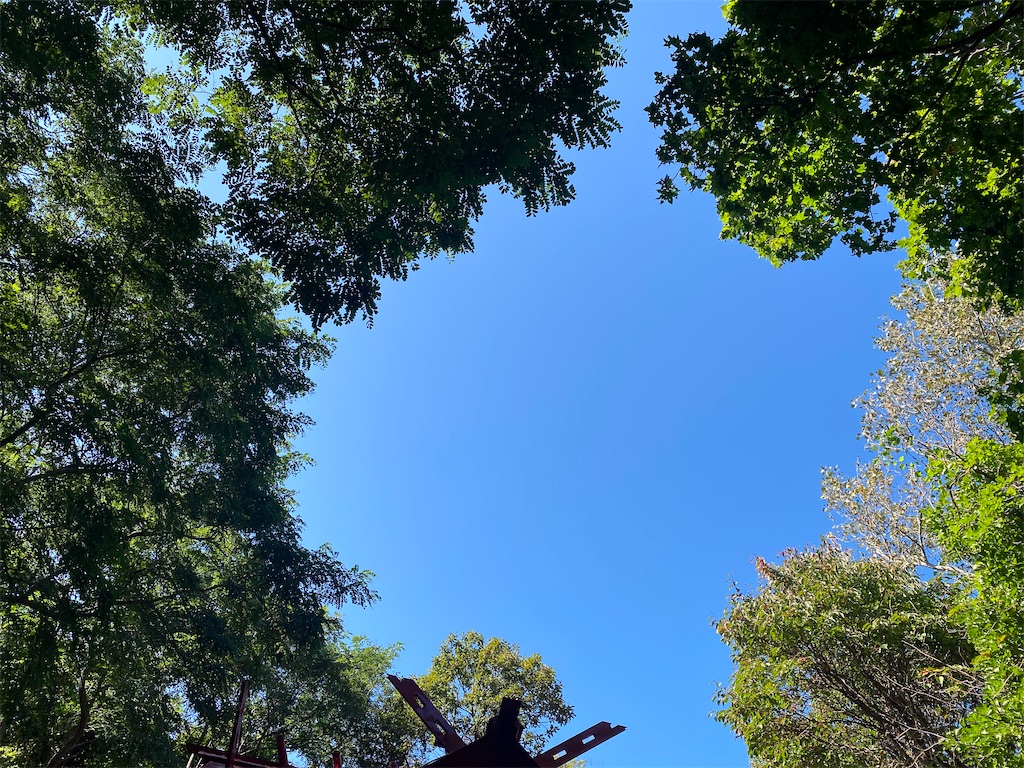 f:id:ayako-sundries:20230928162806j:image