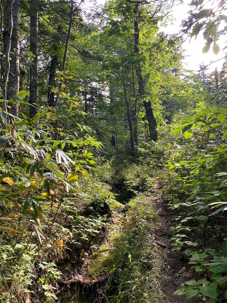 f:id:ayako-sundries:20230928162846j:image