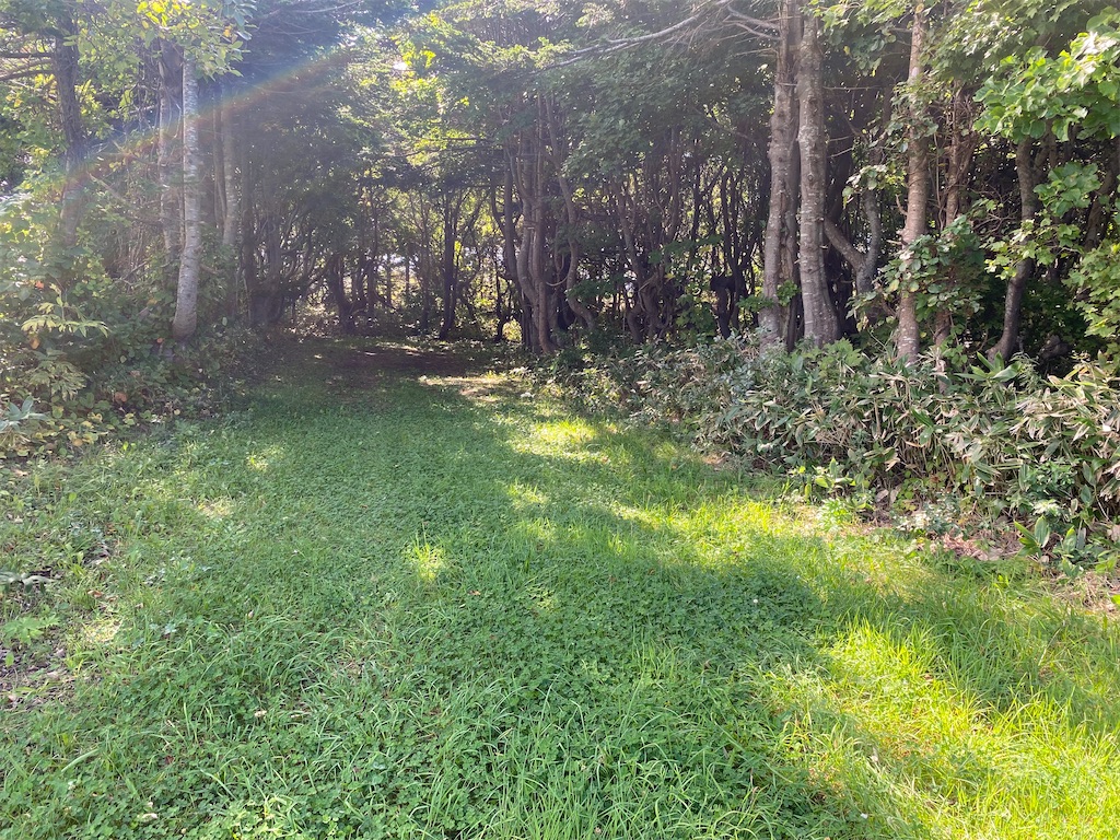 f:id:ayako-sundries:20230928162849j:image