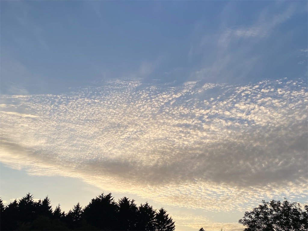 f:id:ayako-sundries:20230928162853j:image