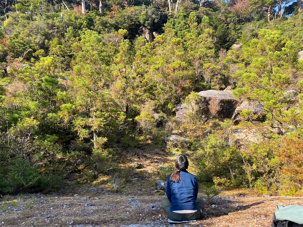 f:id:ayako-sundries:20231113173645j:image