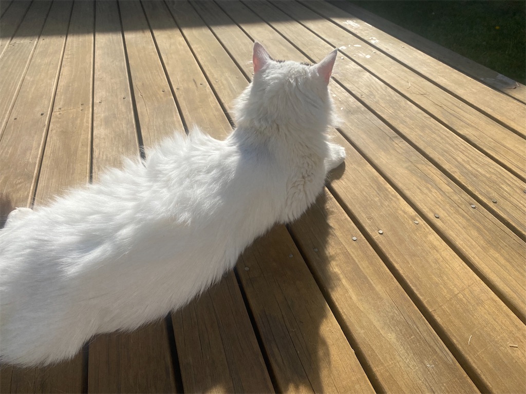 f:id:ayako-sundries:20240218052605j:image f:id:ayako-sundries:20240218052605j:image