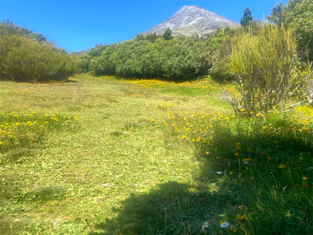 f:id:ayako-sundries:20240218053058j:image f:id:ayako-sundries:20240218053058j:image