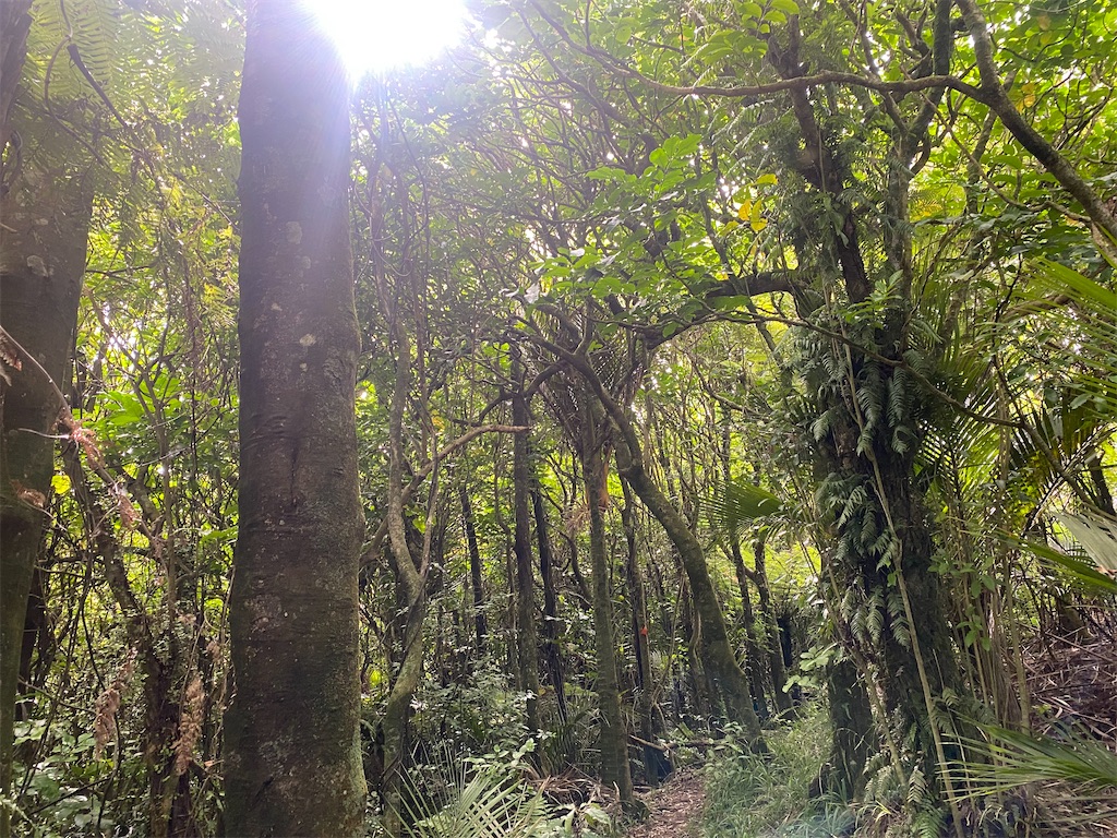 f:id:ayako-sundries:20240218053401j:image f:id:ayako-sundries:20240218053401j:image