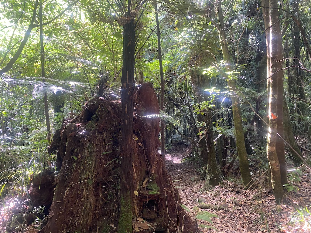 f:id:ayako-sundries:20240218053420j:image f:id:ayako-sundries:20240218053420j:image