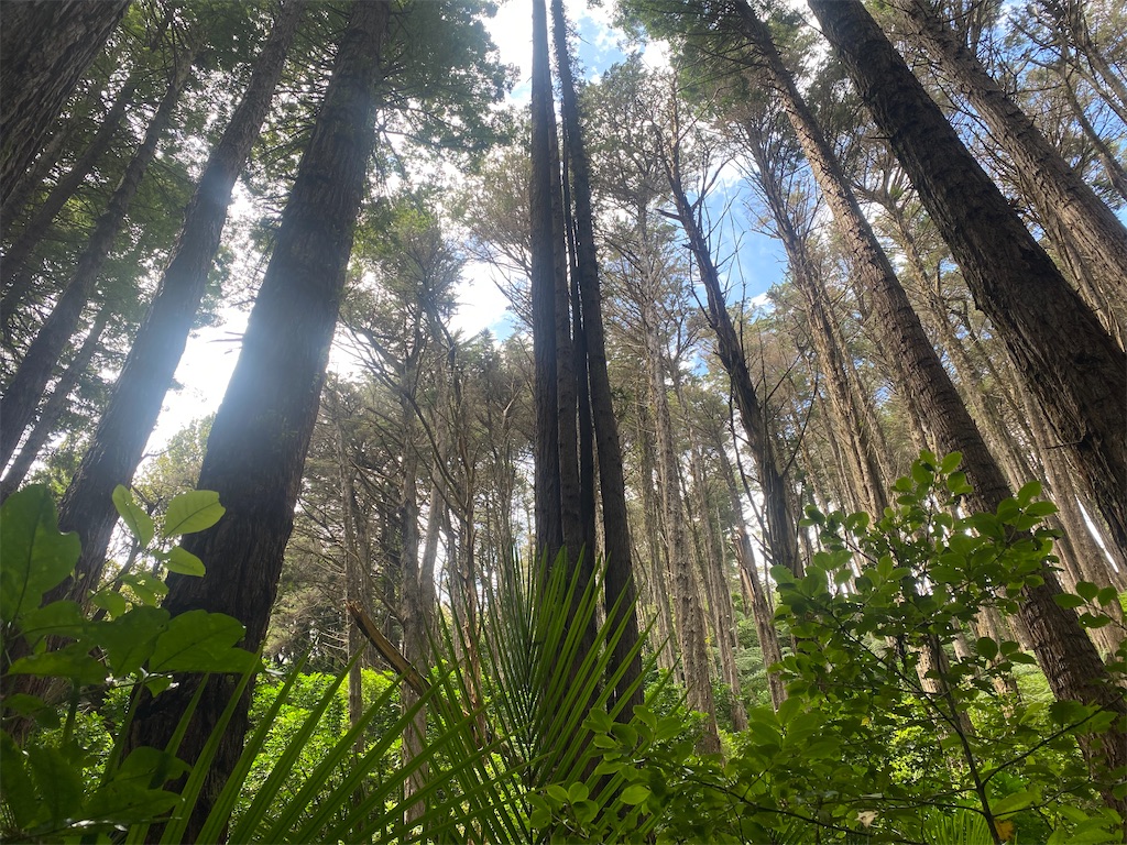 f:id:ayako-sundries:20240218053519j:image f:id:ayako-sundries:20240218053519j:image