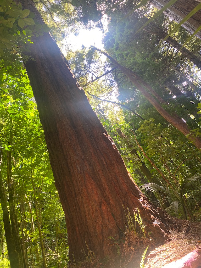 f:id:ayako-sundries:20240218053625j:image f:id:ayako-sundries:20240218053625j:image