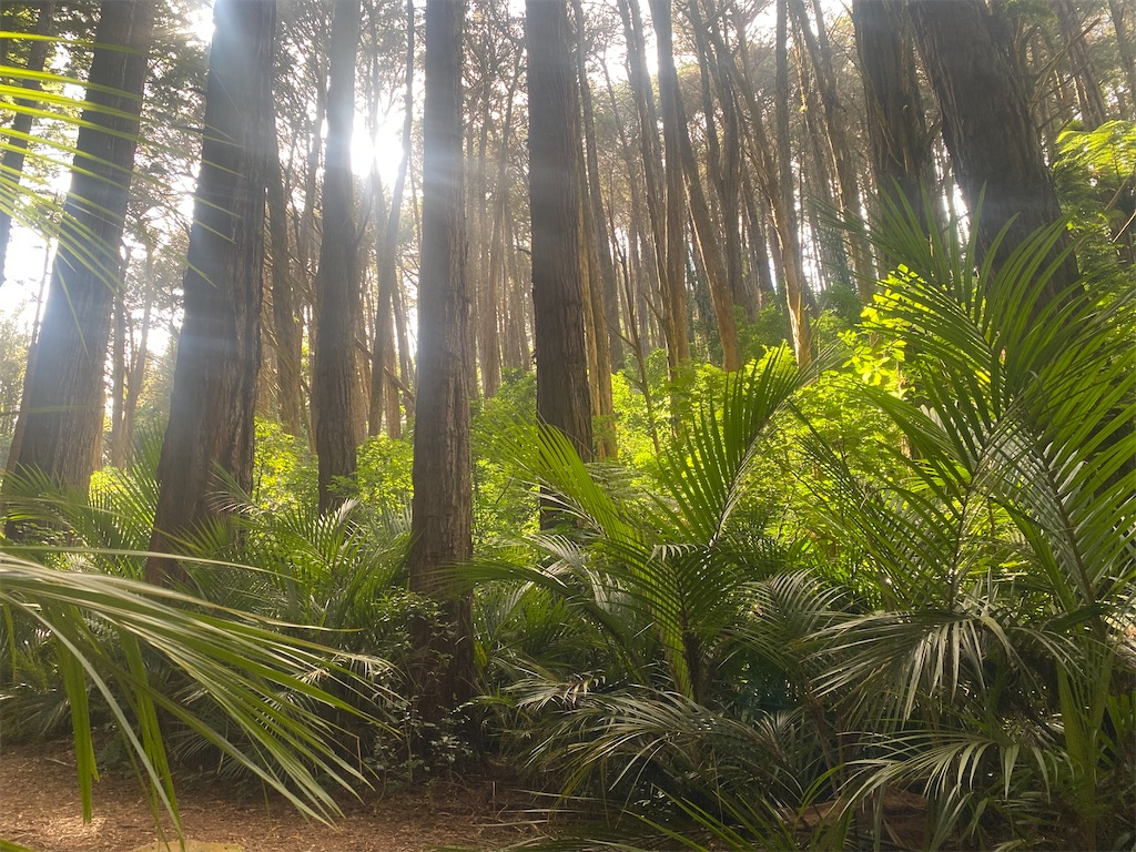 f:id:ayako-sundries:20240218053719j:image f:id:ayako-sundries:20240218053719j:image