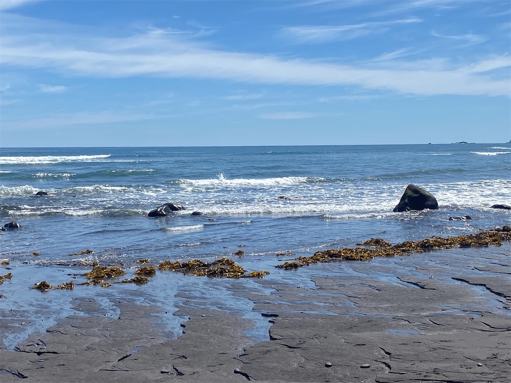 f:id:ayako-sundries:20240218053744j:image f:id:ayako-sundries:20240218053744j:image