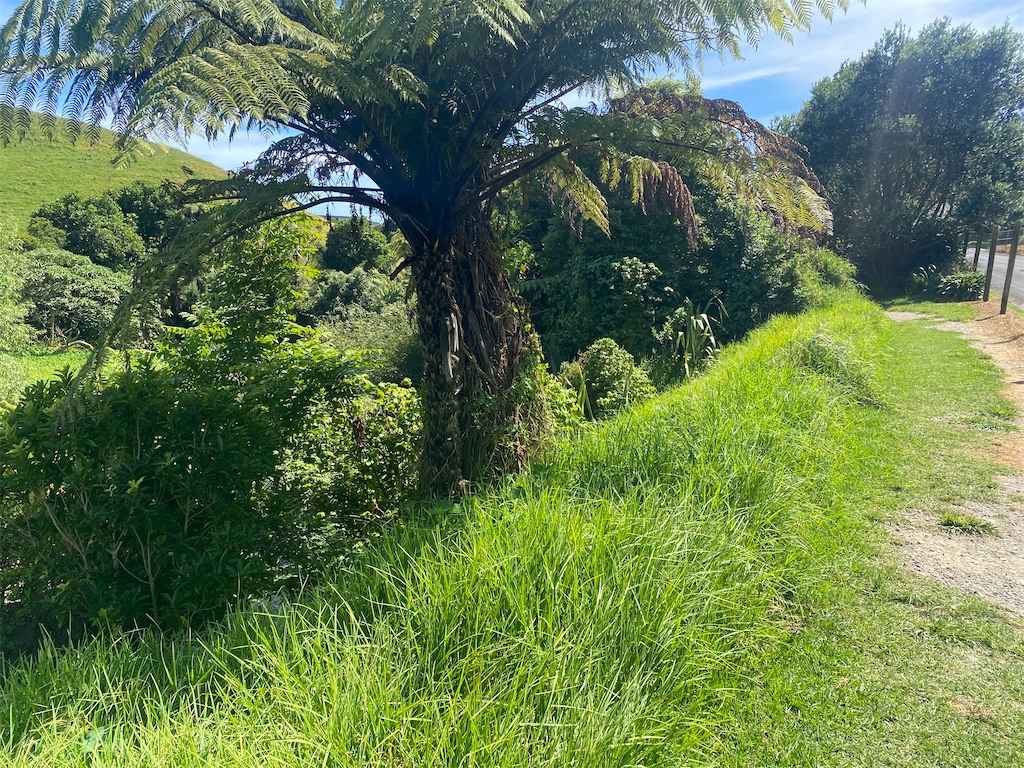 f:id:ayako-sundries:20240218053907j:image f:id:ayako-sundries:20240218053907j:image