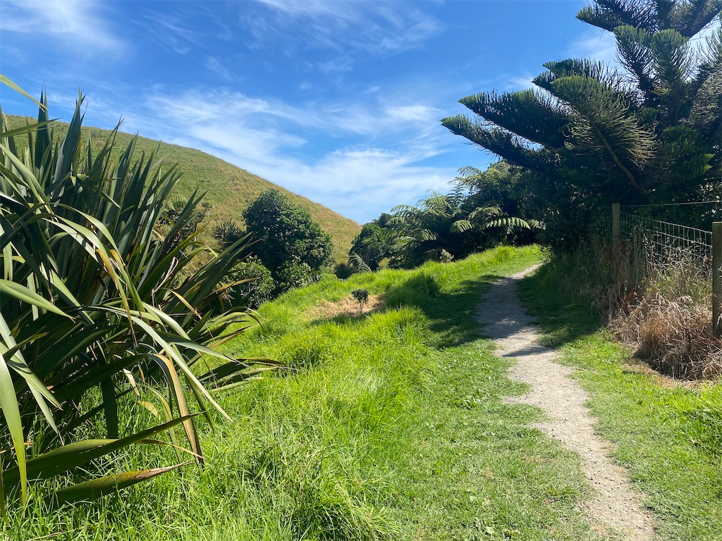 f:id:ayako-sundries:20240218053923j:image f:id:ayako-sundries:20240218053923j:image