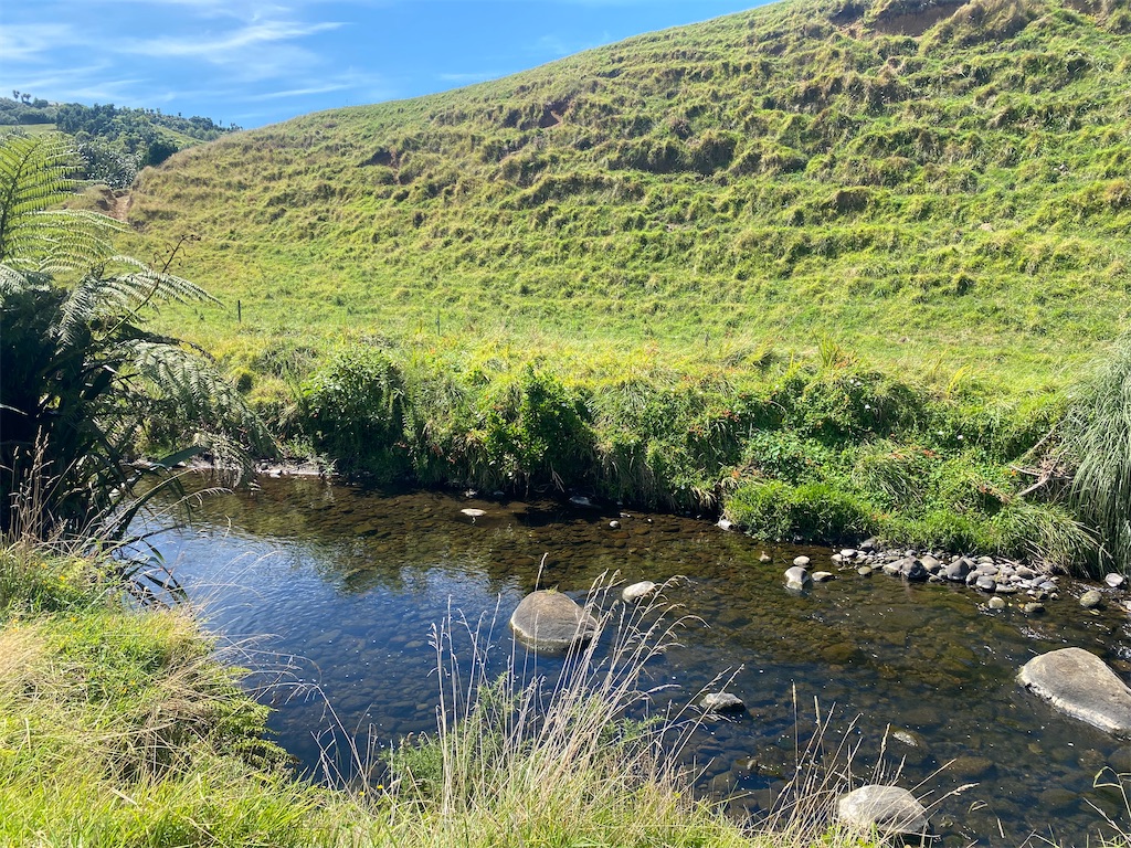 f:id:ayako-sundries:20240218053936j:image f:id:ayako-sundries:20240218053936j:image