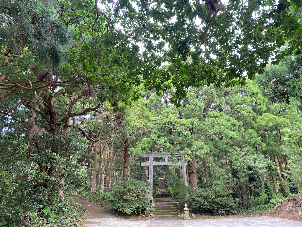 f:id:ayako-sundries:20240908142827j:image f:id:ayako-sundries:20240908142827j:image