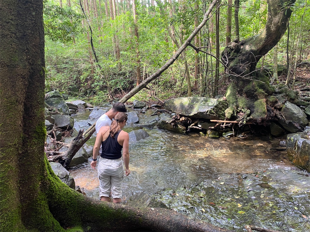 f:id:ayako-sundries:20250717104517j:image