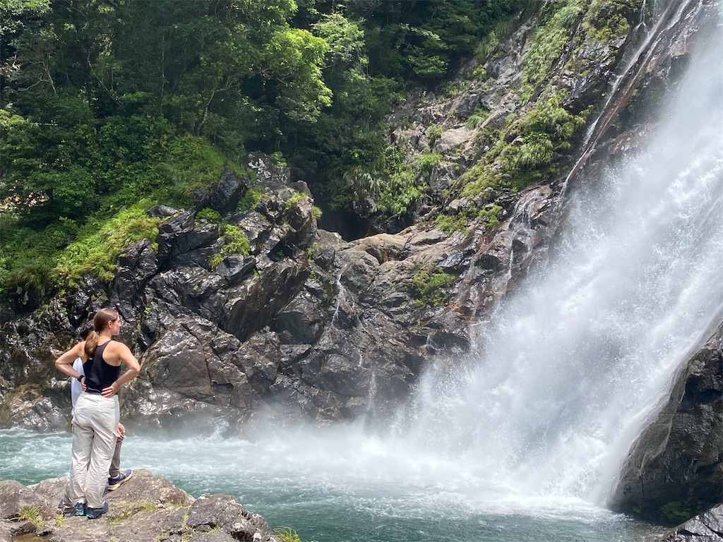 f:id:ayako-sundries:20250717104532j:image