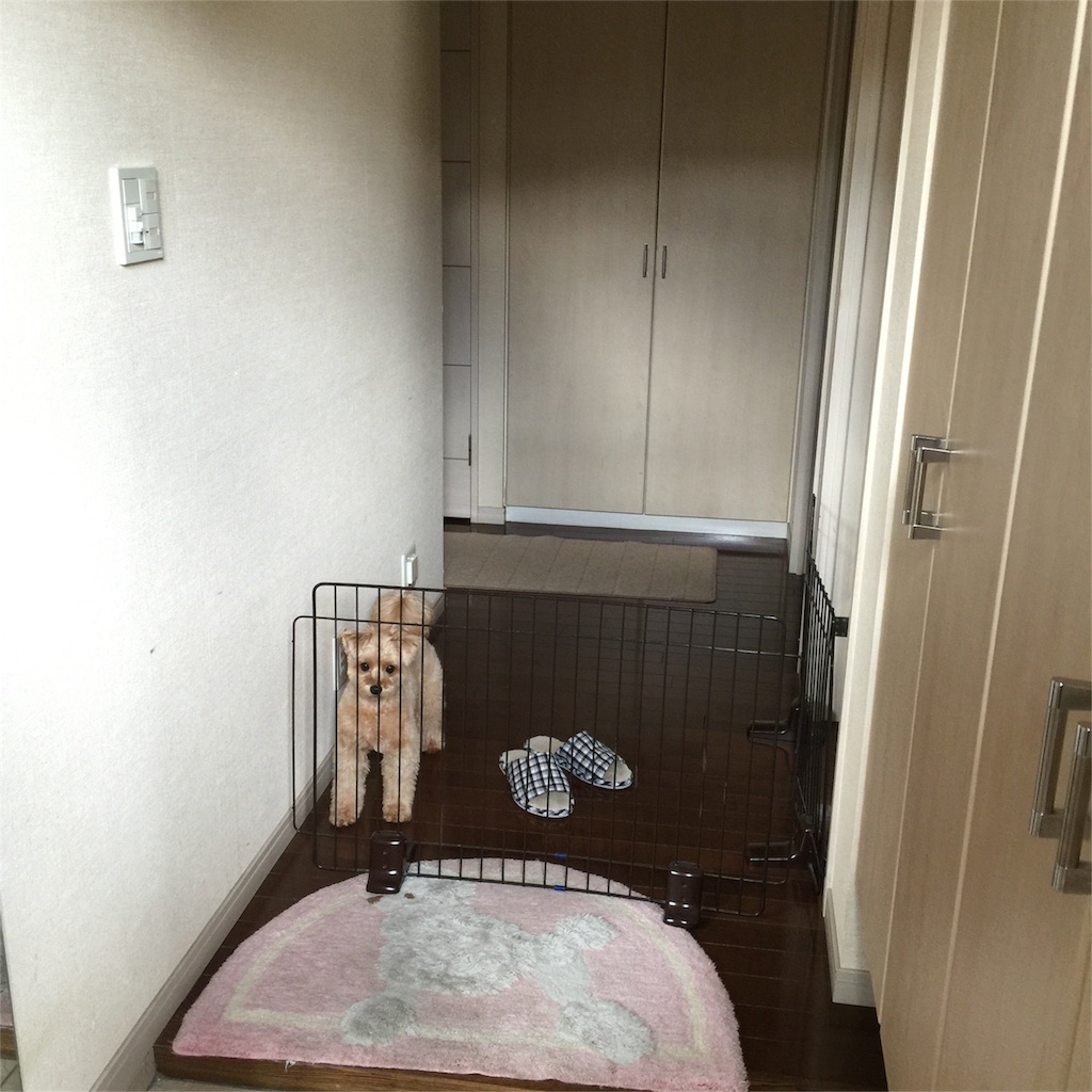 f:id:ayako312:20160913000114j:image f:id:ayako312:20160913000114j:image