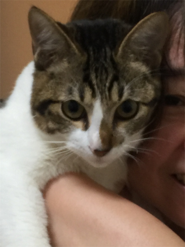 f:id:ayako312:20161006231922j:image