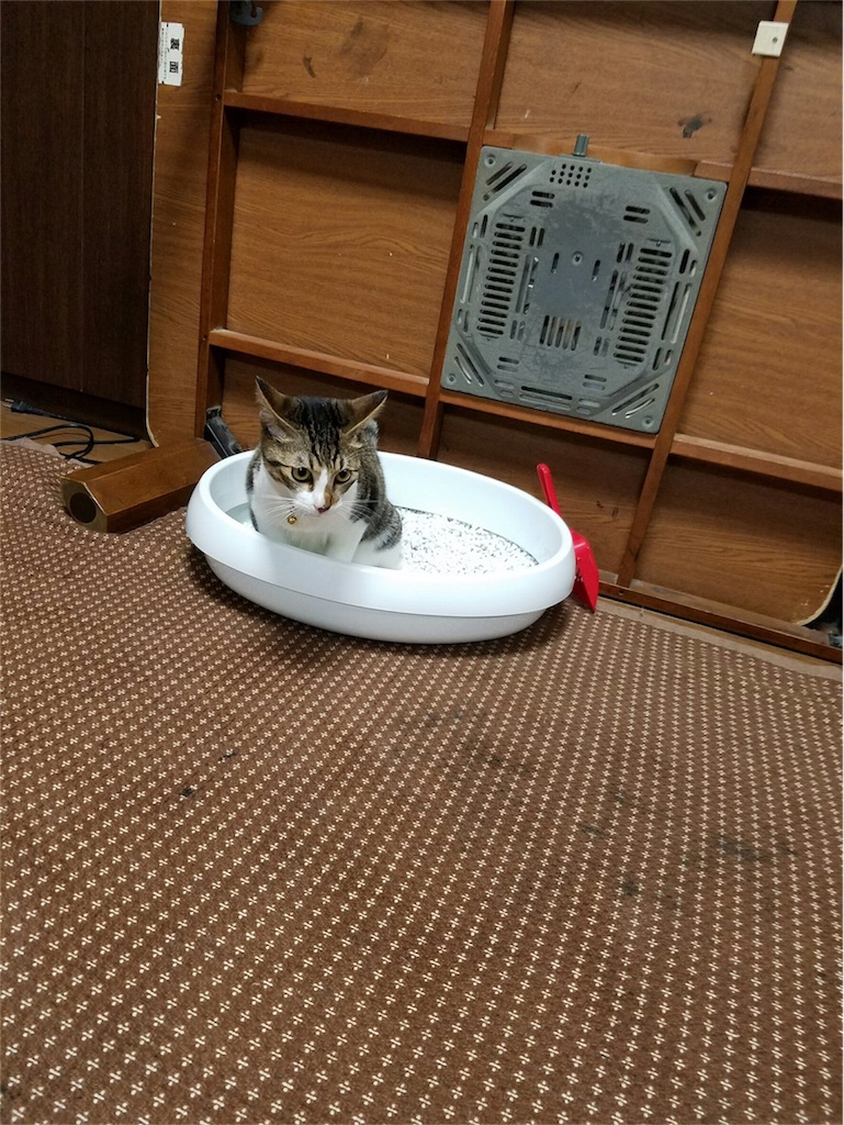 f:id:ayako312:20161006232930j:image