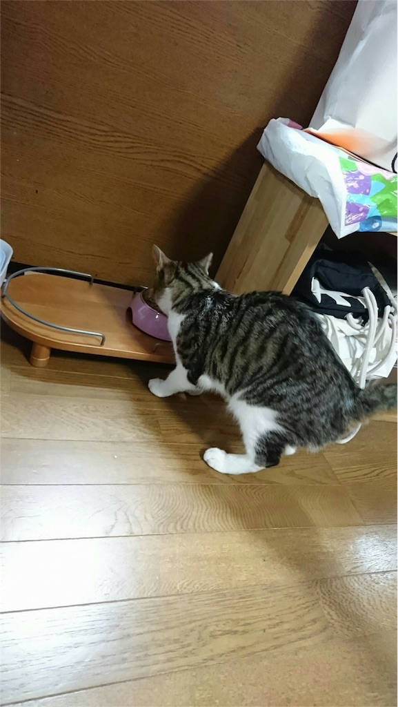 f:id:ayako312:20161006233231j:image