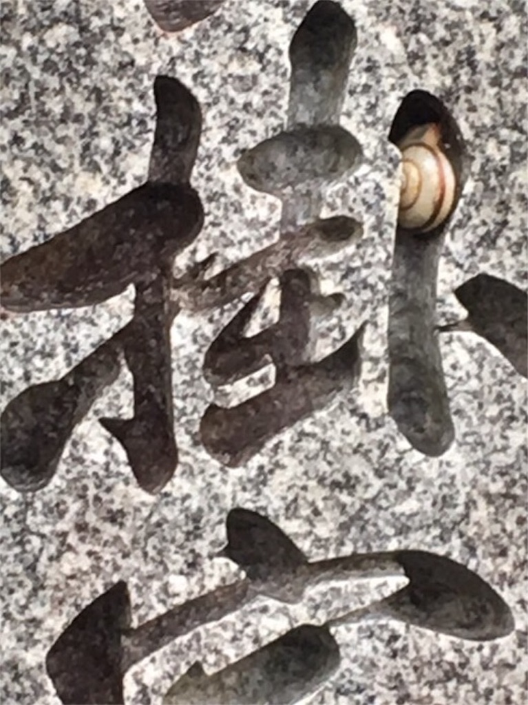 f:id:ayako312:20161124235339j:image f:id:ayako312:20161124235339j:image