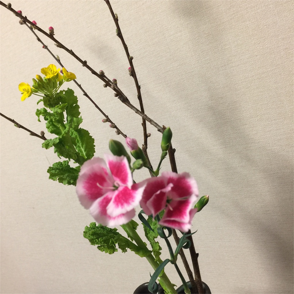 f:id:ayako312:20170225215635j:image