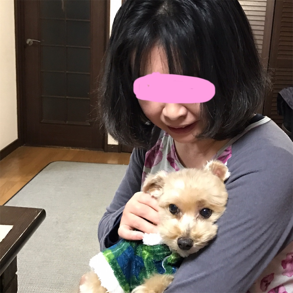 f:id:ayako312:20171231143853j:image f:id:ayako312:20171231143853j:image