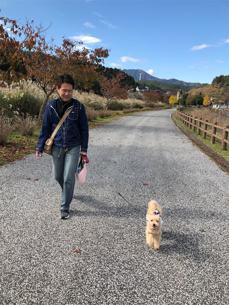 f:id:ayako312:20181118215353j:image