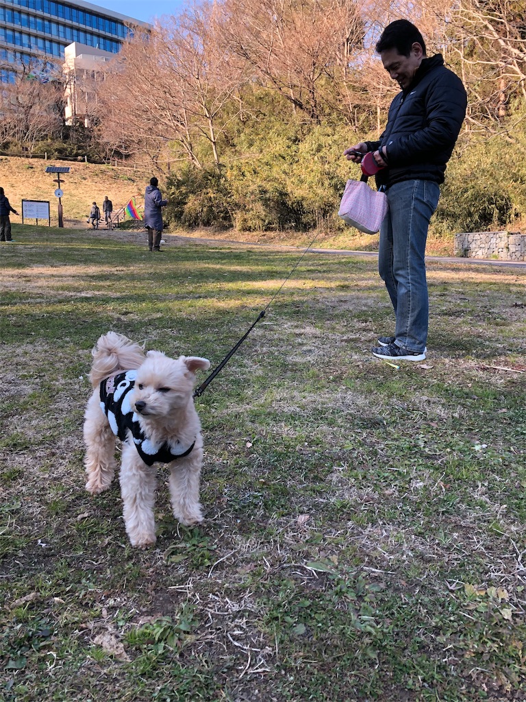 f:id:ayako312:20190114233735j:image