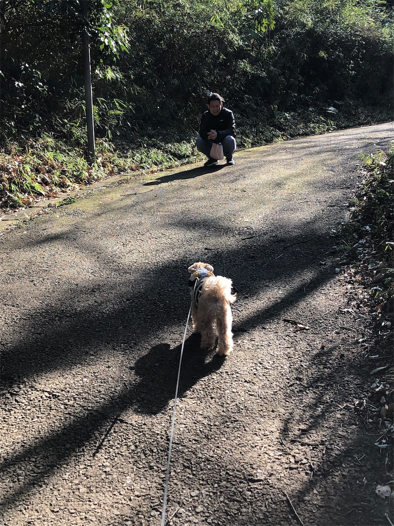 f:id:ayako312:20190224221905j:image
