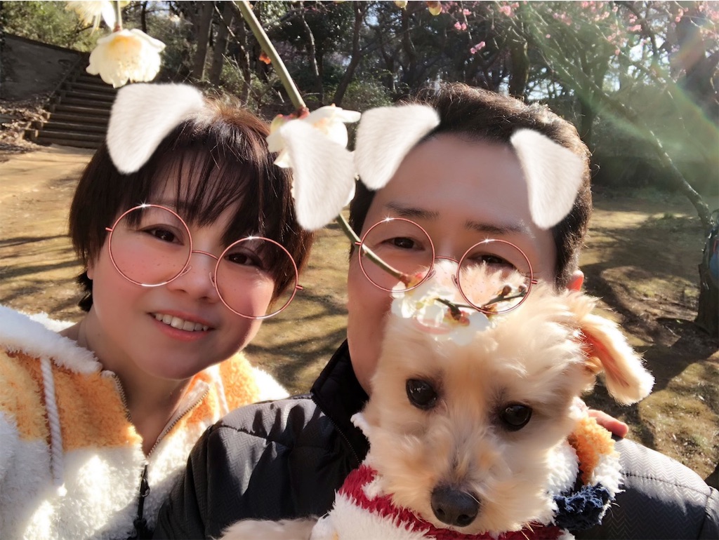 f:id:ayako312:20190224231359j:image