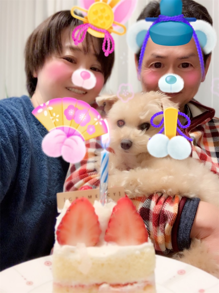 f:id:ayako312:20190301235246j:image