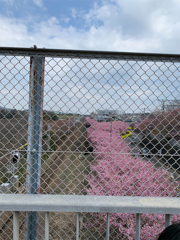 f:id:ayako312:20190302232906j:image