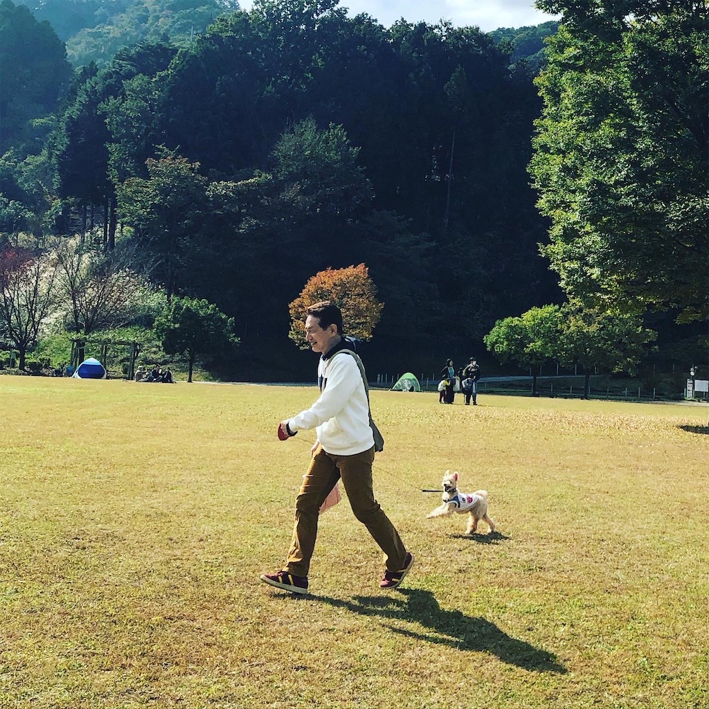 f:id:ayako312:20201103000832j:image