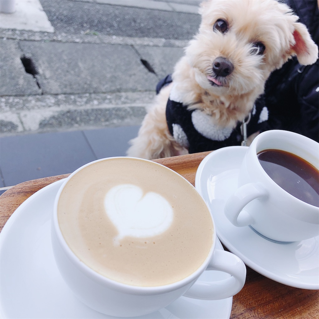 f:id:ayako312:20201220204149j:image