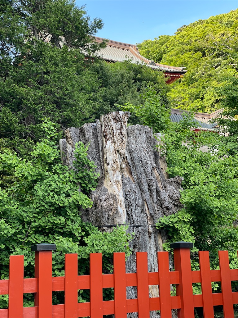 f:id:ayako312:20220521151446j:image f:id:ayako312:20220521151446j:image