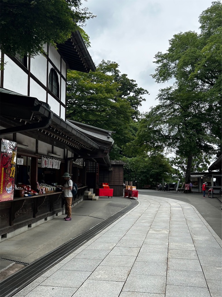 f:id:ayako312:20230709224919j:image