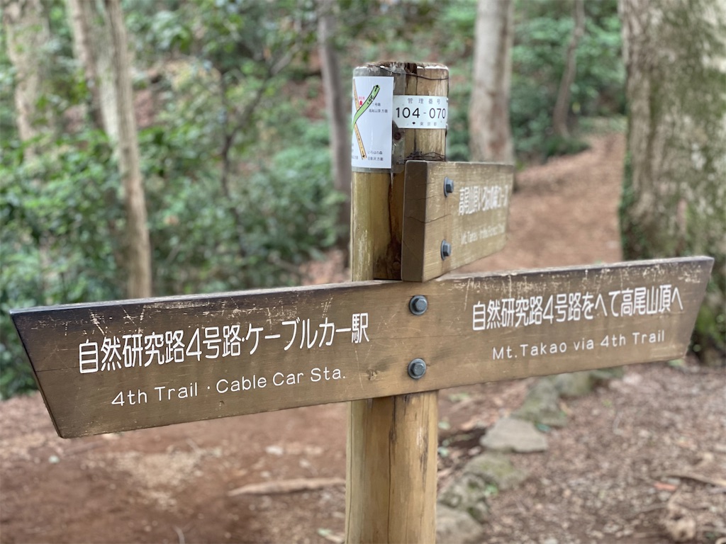 f:id:ayako312:20230709233218j:image
