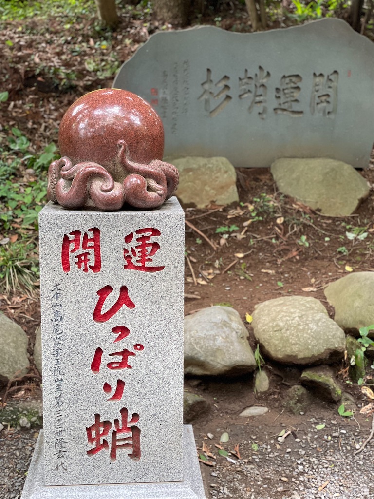f:id:ayako312:20230710001047j:image