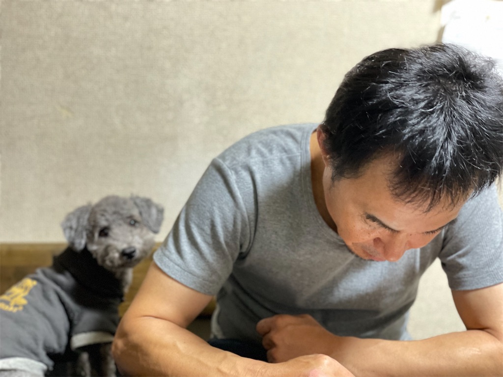 f:id:ayako312:20240102104546j:image