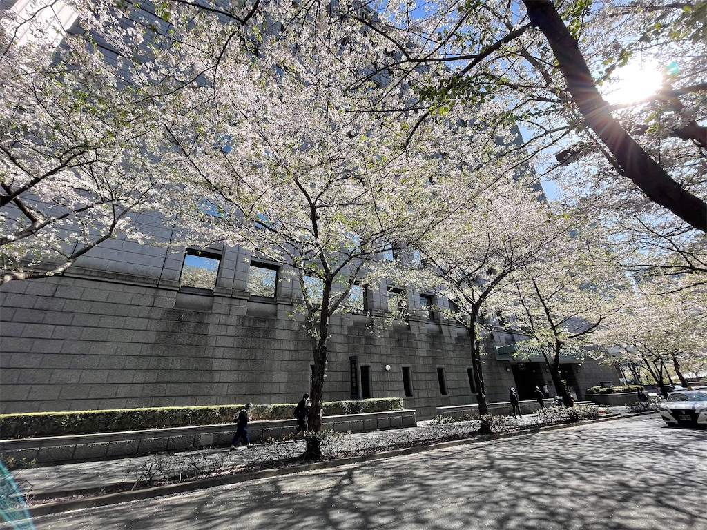 f:id:ayako312:20240415150218j:image