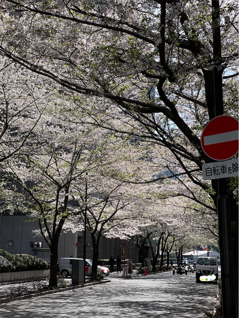 f:id:ayako312:20240415150226j:image