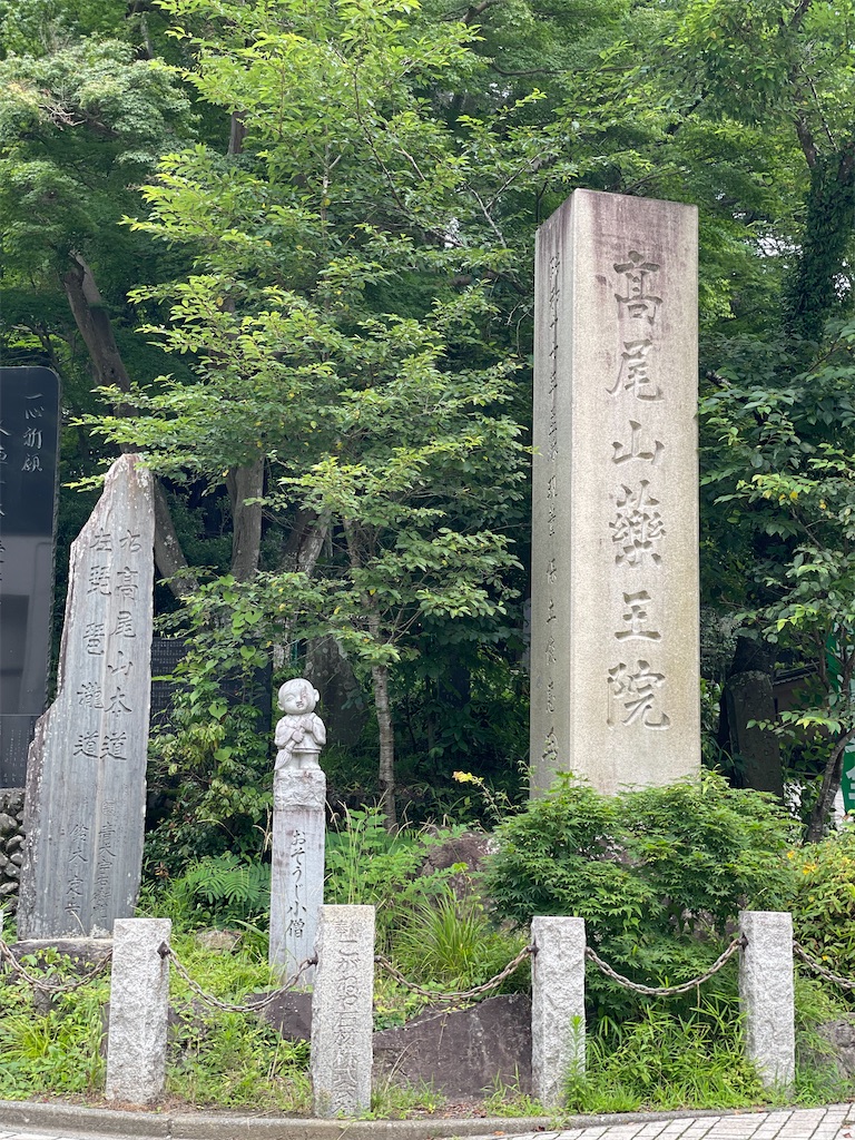 f:id:ayako312:20240712213036j:image