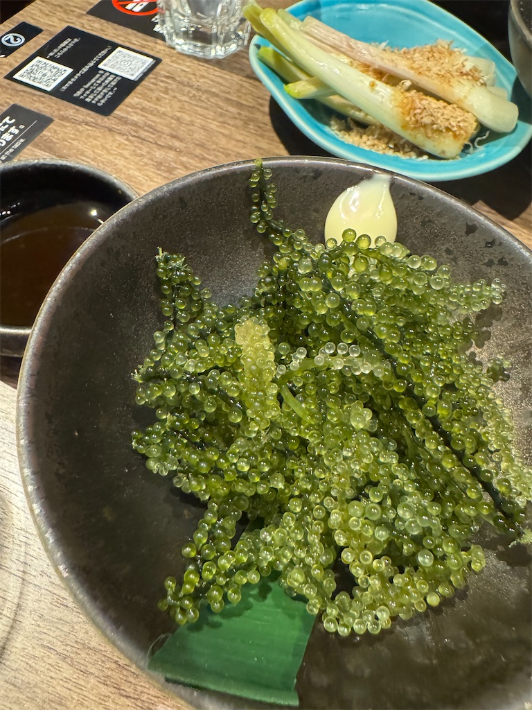 f:id:ayako312:20250126213138j:image