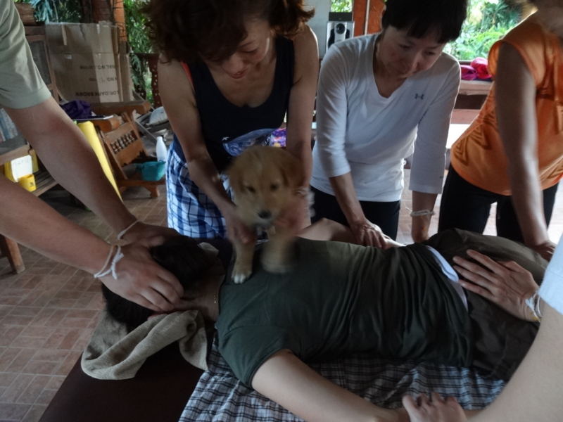 f:id:ayako53yazaki:20121117193451j:image:w360 f:id:ayako53yazaki:20121117193451j:image:w360