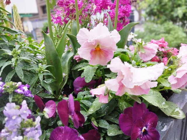f:id:ayakoendo:20240410230534j:image f:id:ayakoendo:20240410230534j:image