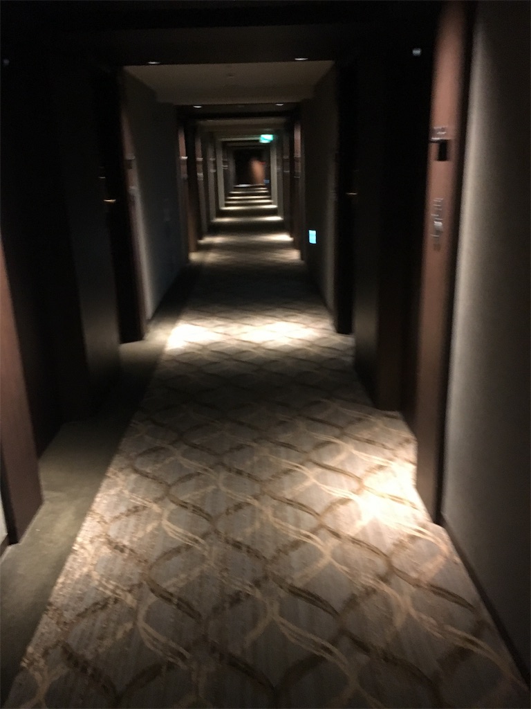 f:id:ayakokops:20181125191005j:image