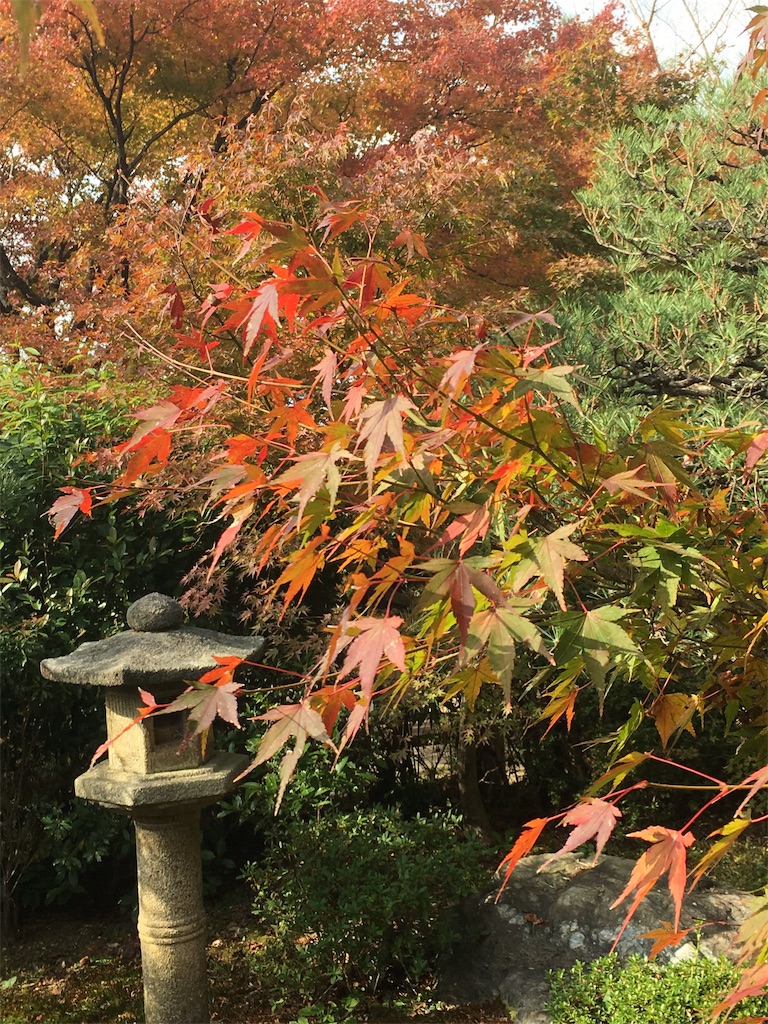 f:id:ayakokops:20181125210417j:image