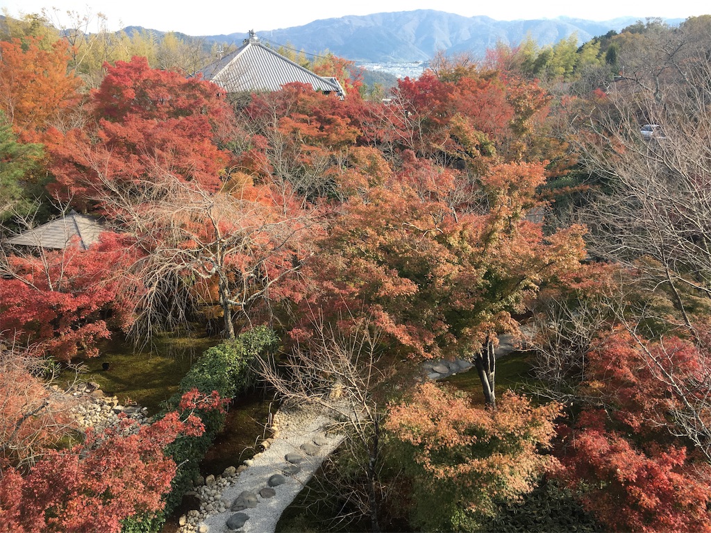 f:id:ayakokops:20181125210425j:image