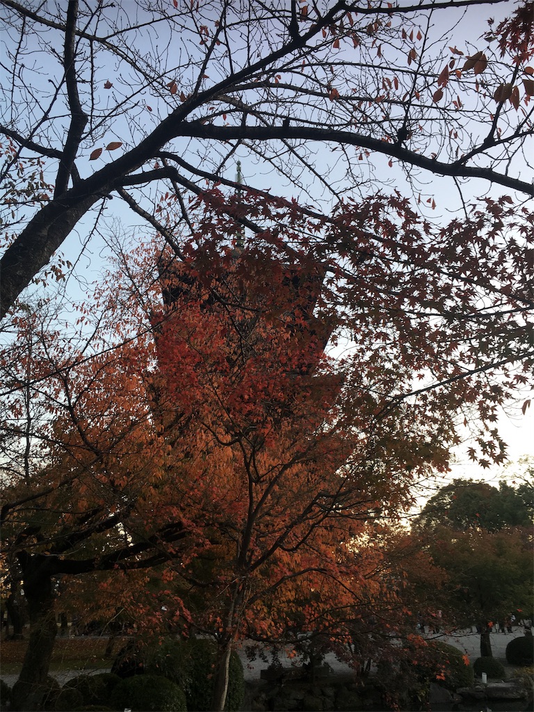 f:id:ayakokops:20181125210431j:image